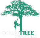 SchmiTreez Service Logo