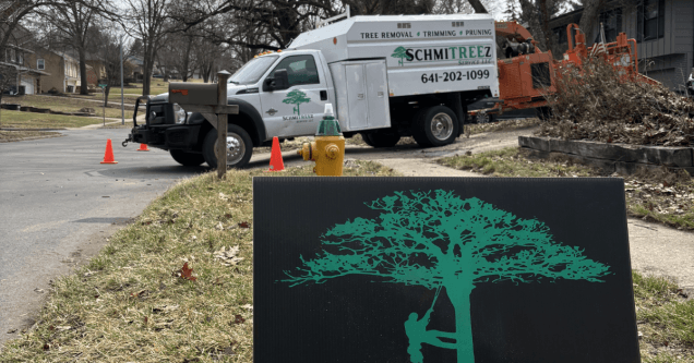 Identifying Dangerous Tree: When to Call a Professional Tree Service Company