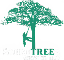 SchmiTreez Service Logo