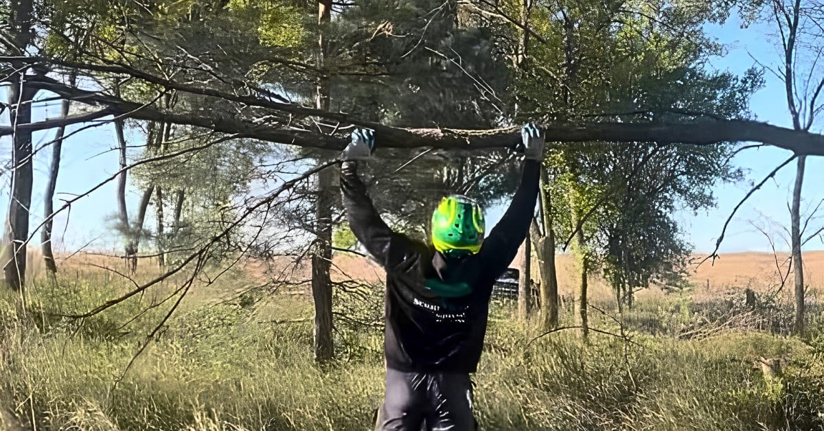 Tree Pruning